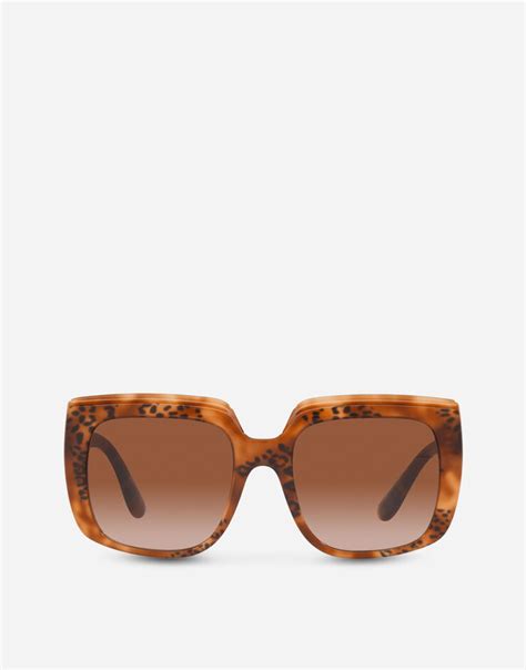 dolce gabbana sonnenbrille leoprint|Dolce&Gabbana Online Store.